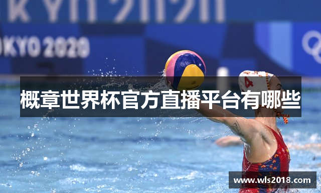 2026美加墨世界杯比赛时间-世界杯热门梗盘点